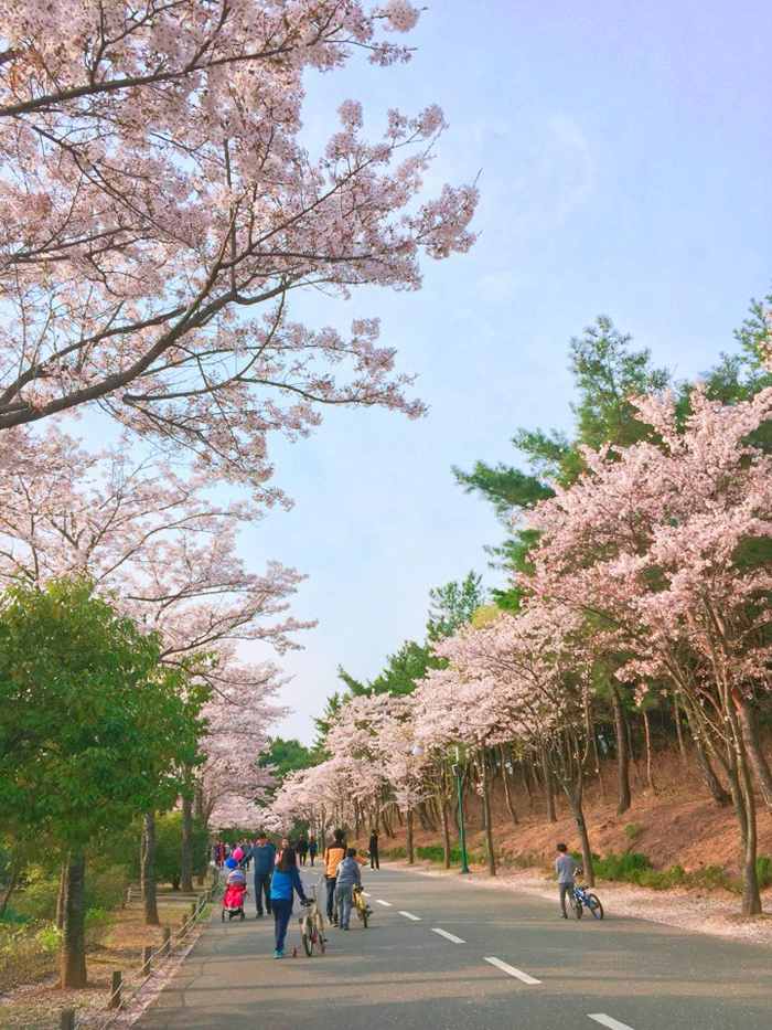 울산대공원 남문