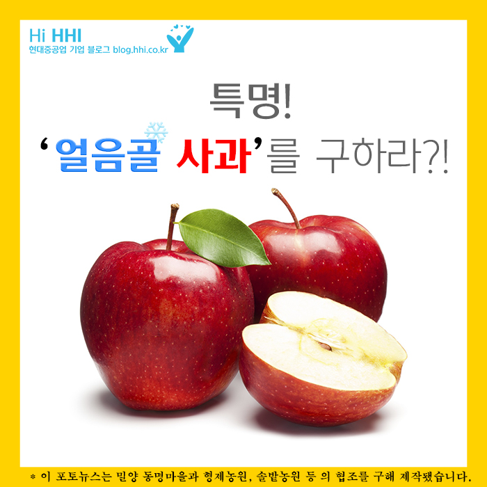 [카드뉴스] 특명! 얼음골 사과를 구하라?!