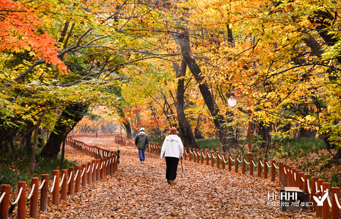 상림의 산책길