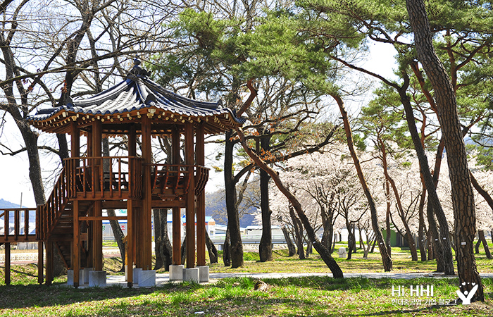 경남 의령 신포 숲 & 산책로