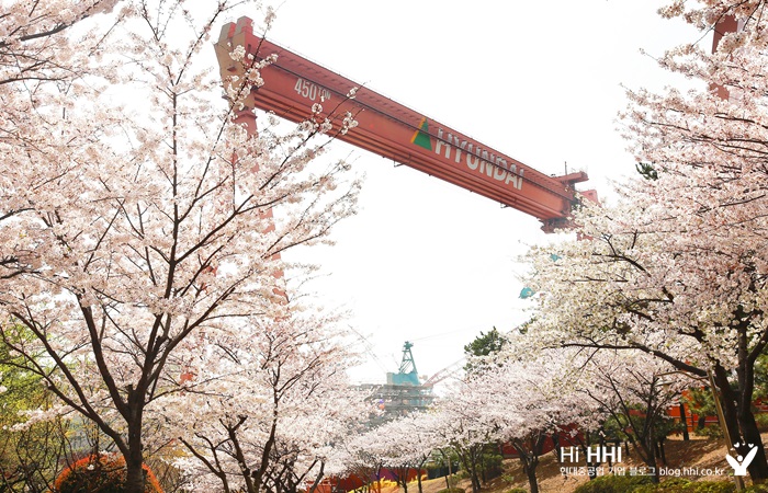 봄을 여는 당신을 위해(2화)